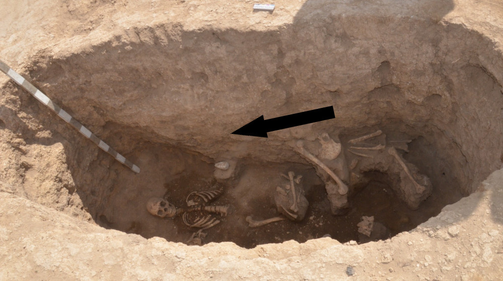    Тайна гробницы Атиллы проклятие скрытое в водах Дуная