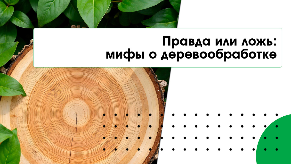 Правда или нет? Разбираем популярные мифы о покрытиях для дерева и выбираем лучшую защиту 
