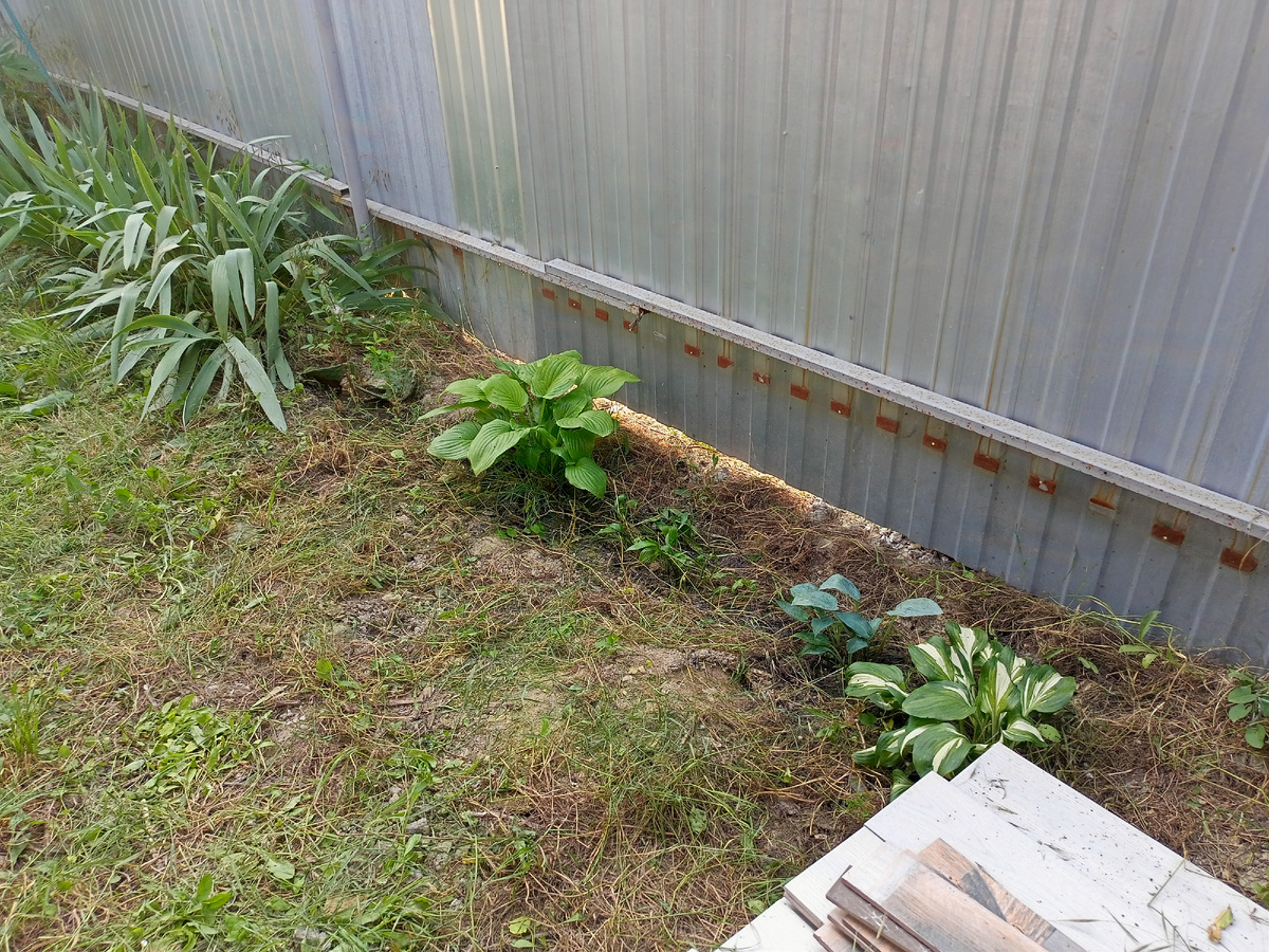 Стало вот так