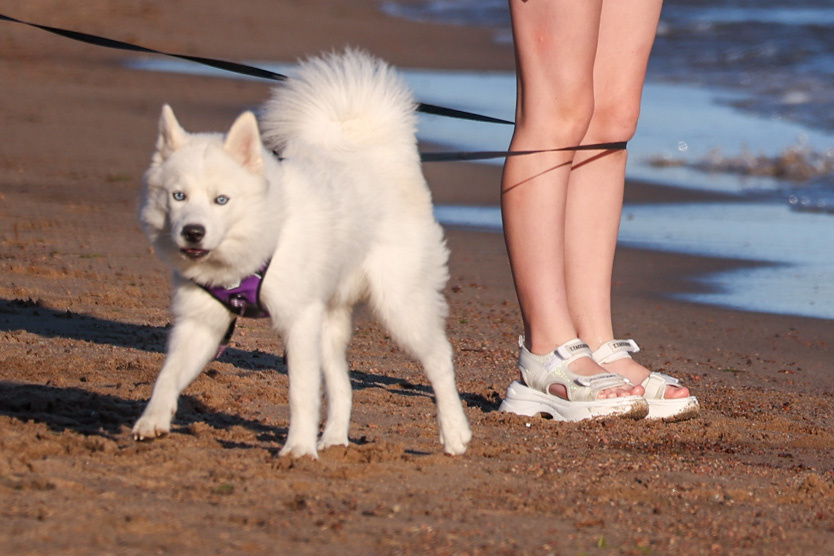 Фото: Alexey Belkin / Global Look Press