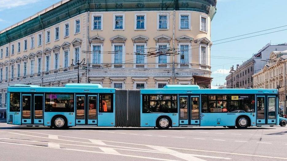    Фото: vk.com/vmeste_s_pat