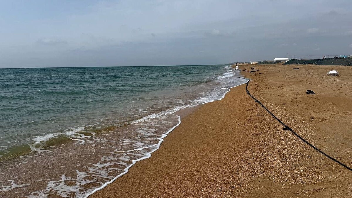    Фото: телеканал «Краснодар»