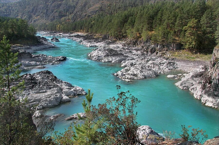https://kedrbereg22.ru/katun-eco-river/