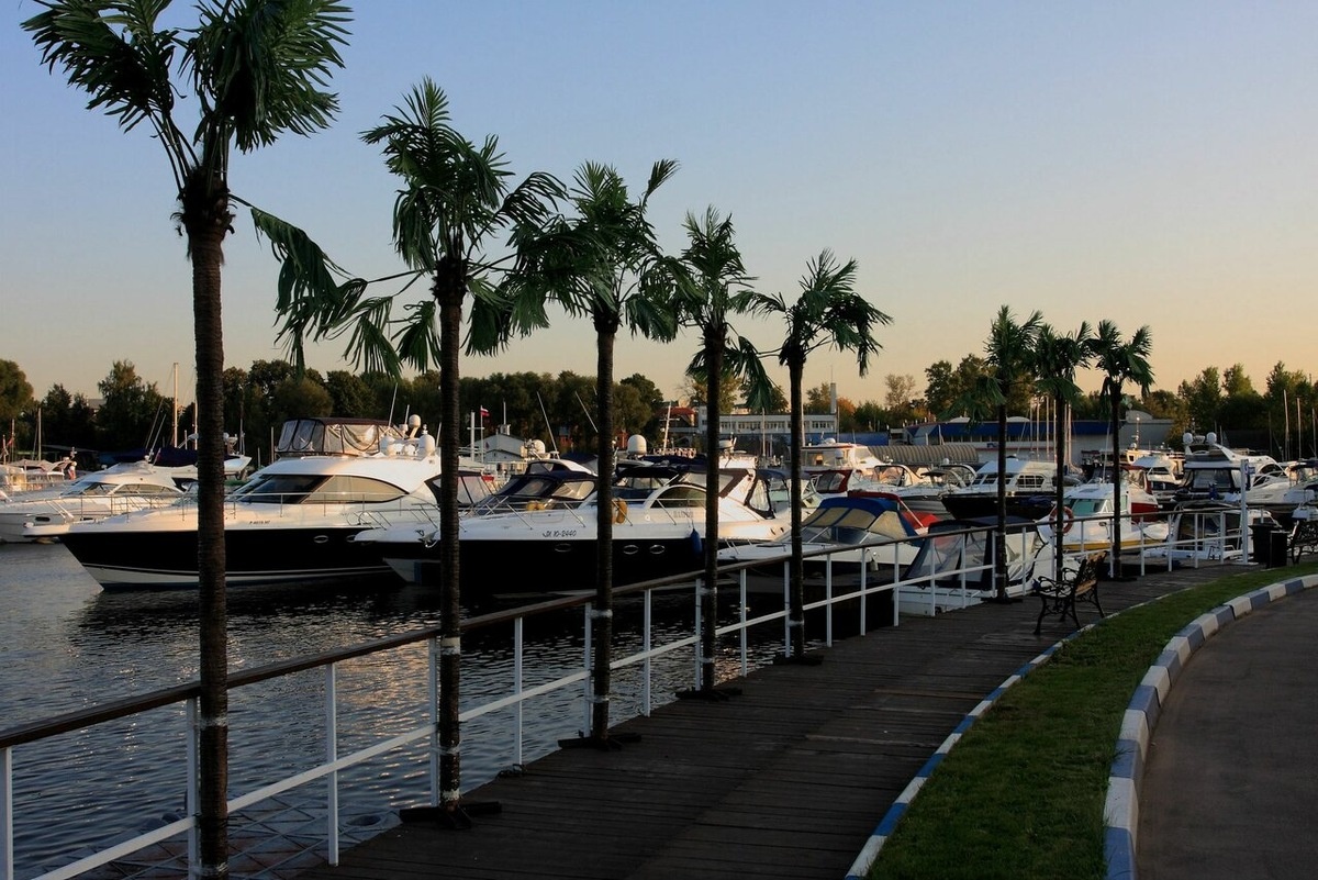 Источник: https://avatars.mds.yandex.net/get-altay/374295/2a0000015b1793c8089ac05c4390042946fc/XXXL