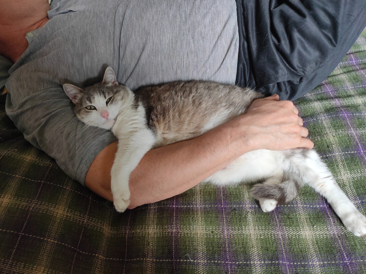 Если кто-то прилёг, то под боком очень быстро появлялась Соня. Фото автора.