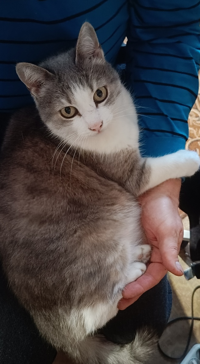 Фото автора