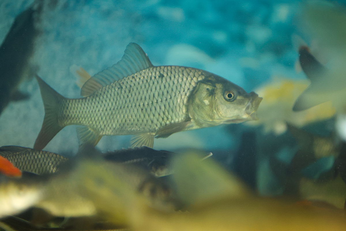 фото: Belkin Alexey/news.ru/Global Look Press