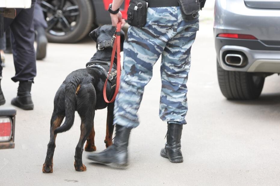    Алексей Белкин/NEWS.ru