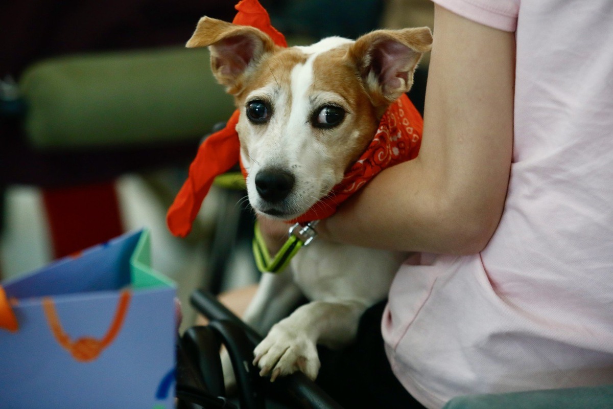 Фото: Игорь Харитонов