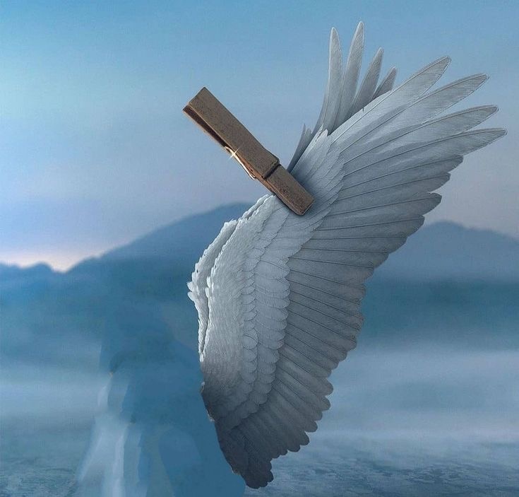 Следи за своими крыльями и регулируй полёт каждый миг, событие и чувство!