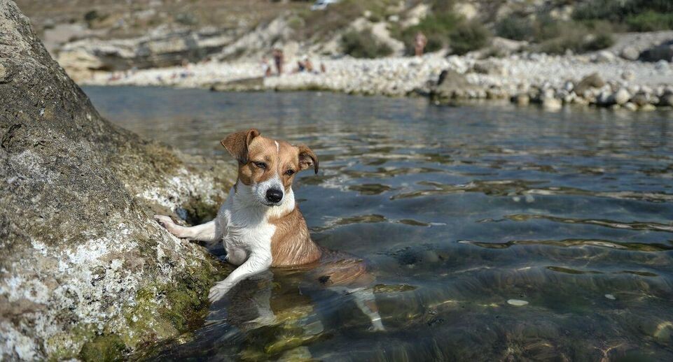    РИА «Новости»