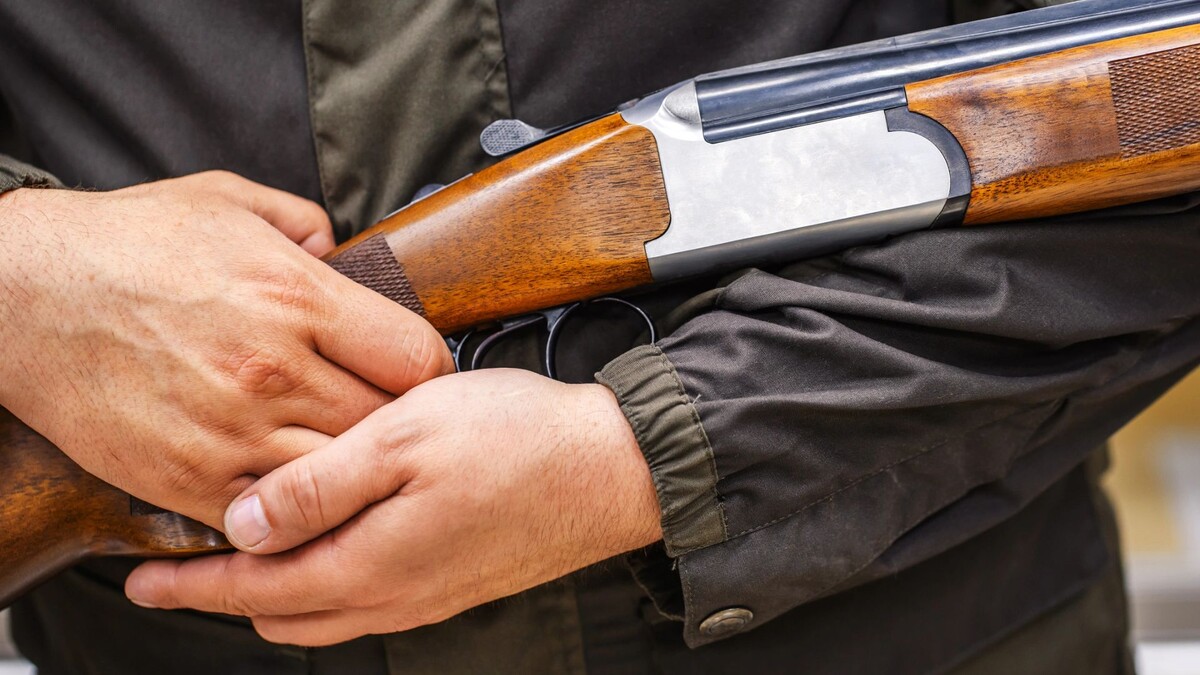    Фото: Dmitry Markov152 / Shutterstock / Fotodom