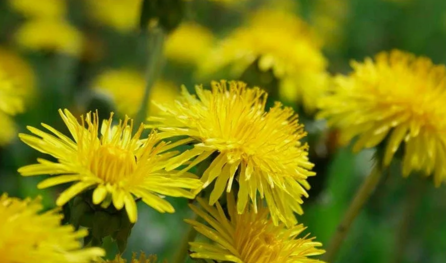 Фото взято в свободном доступе