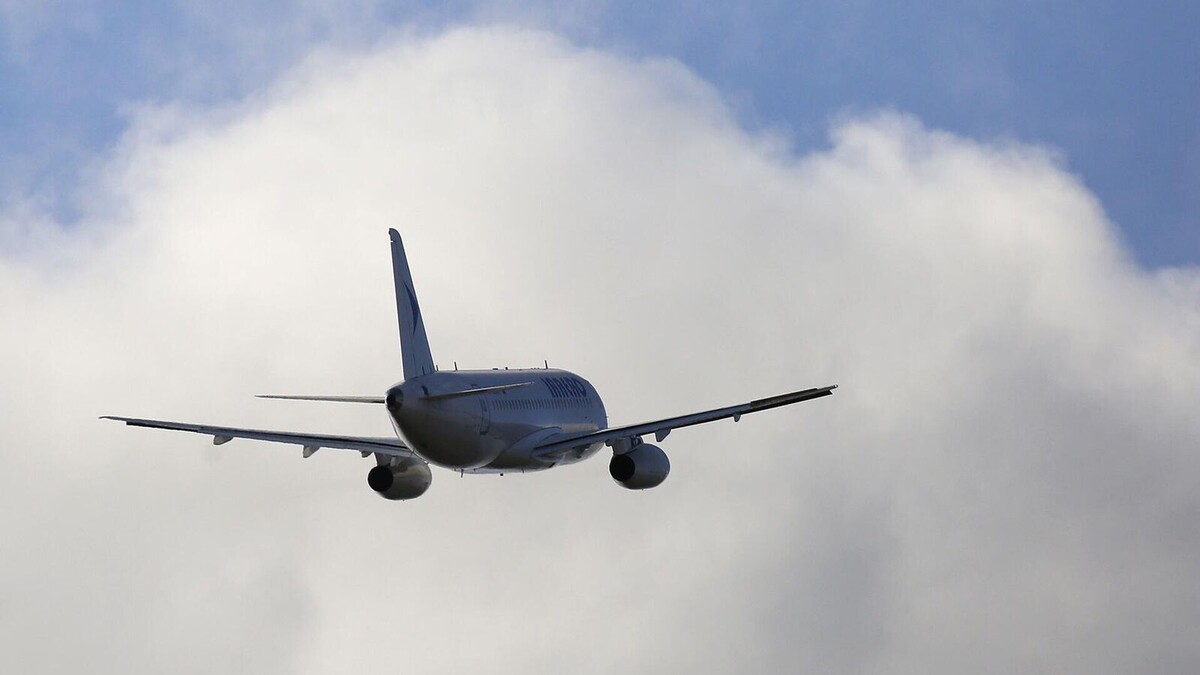 © Sputnik / Илья Наймушин