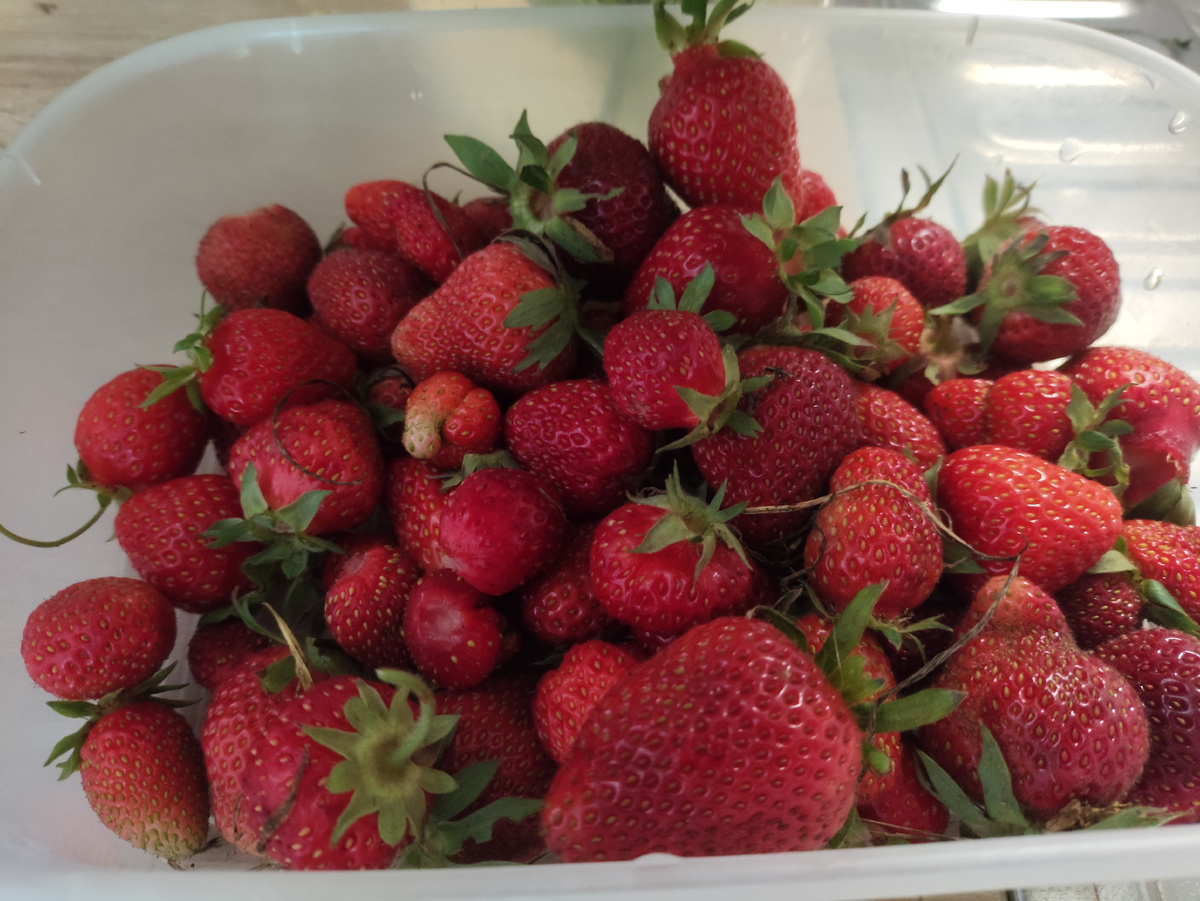 Аромат на весь дом!