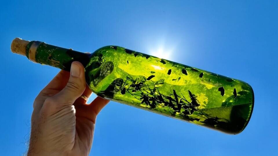 Фото: © Кадр из программы "Загадки человечества", РЕН ТВ