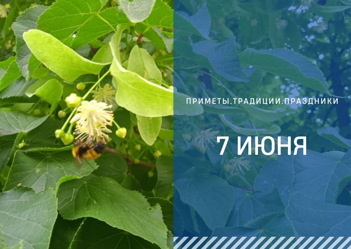   ГТРК "Ставрополье"