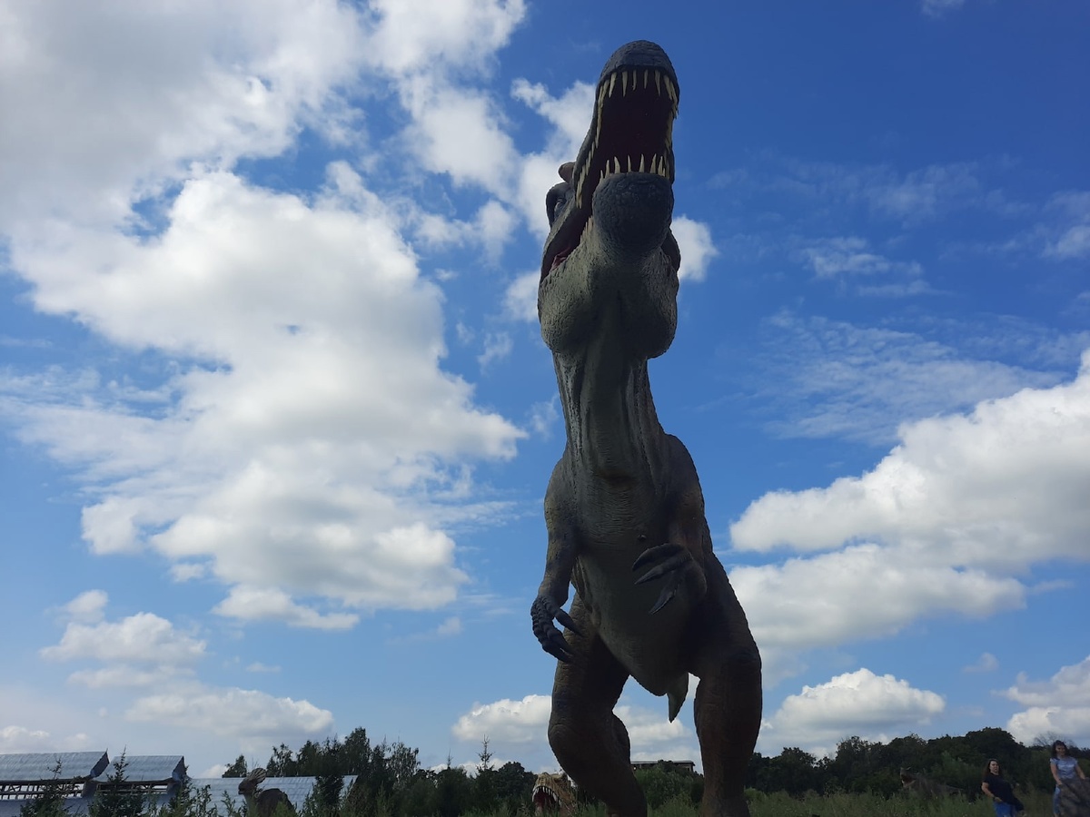 Фото: Тульская служба новостей