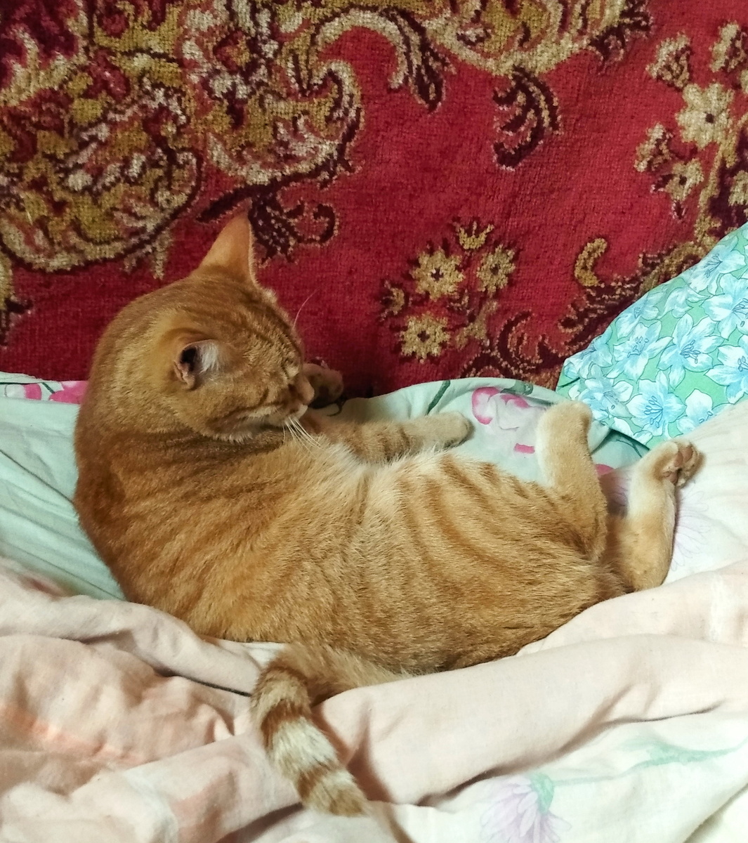 личное  фото