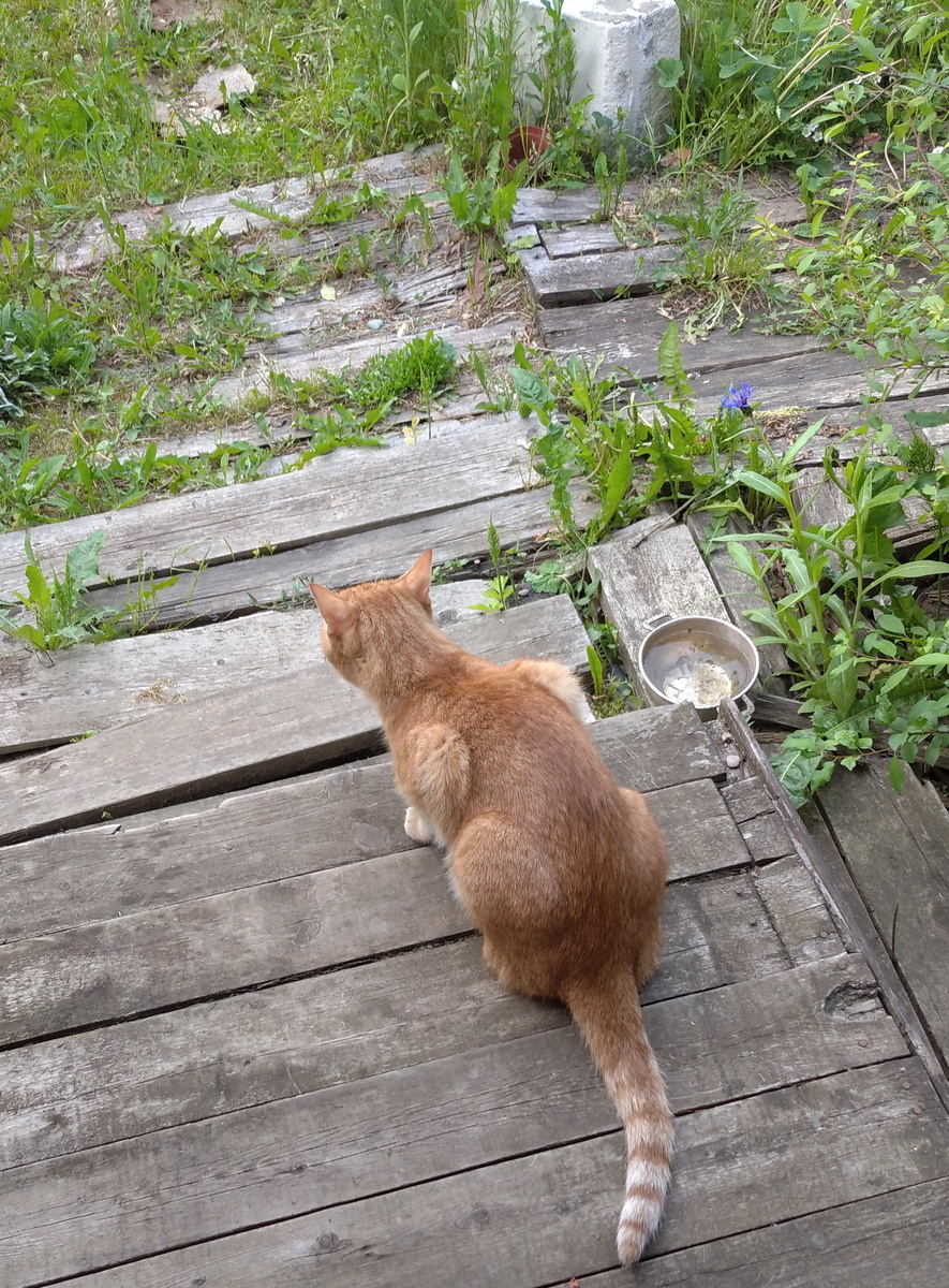 личное  фото