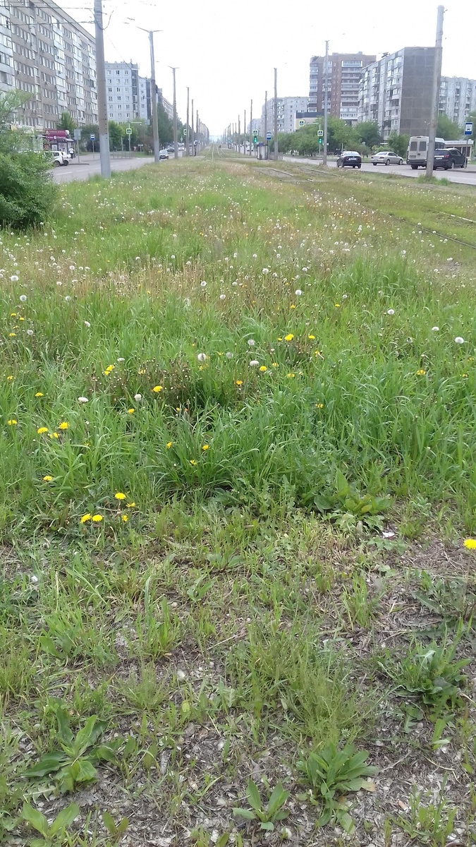 город Красноярск сегодня. Фото автора.