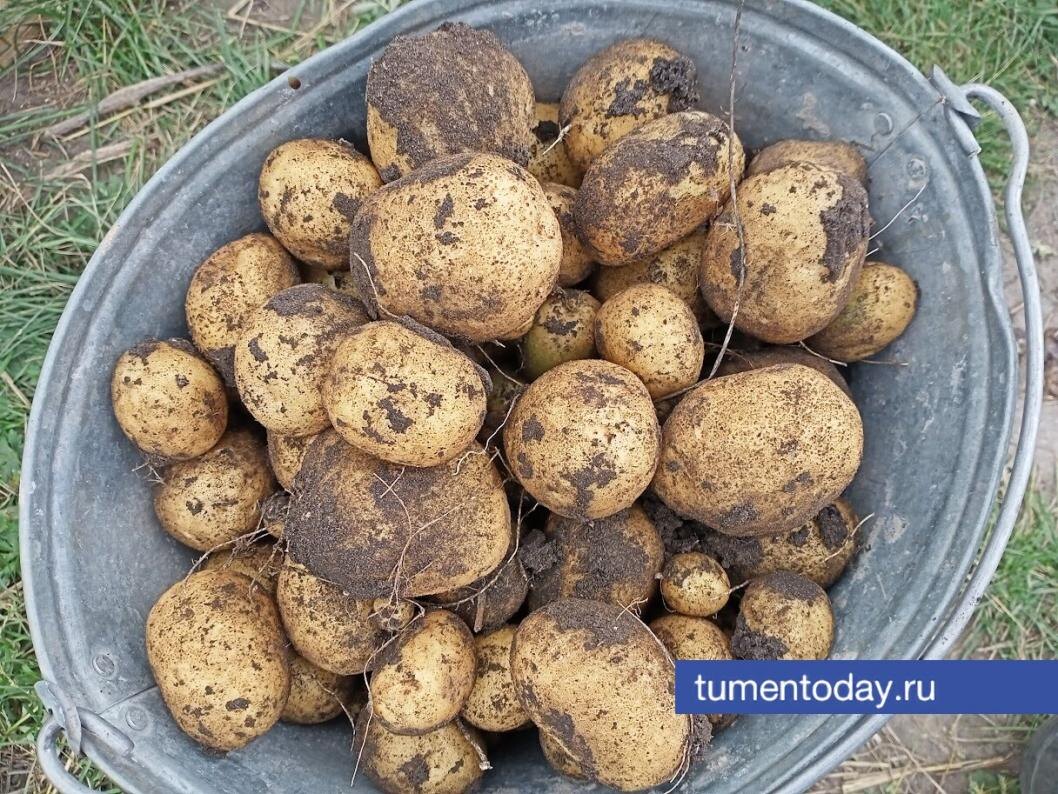  Фото Евгении Ноговициной