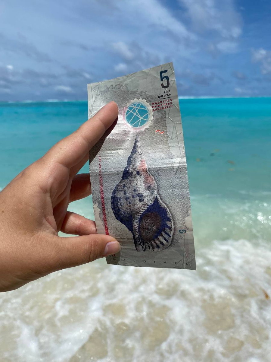 Обратная сторона