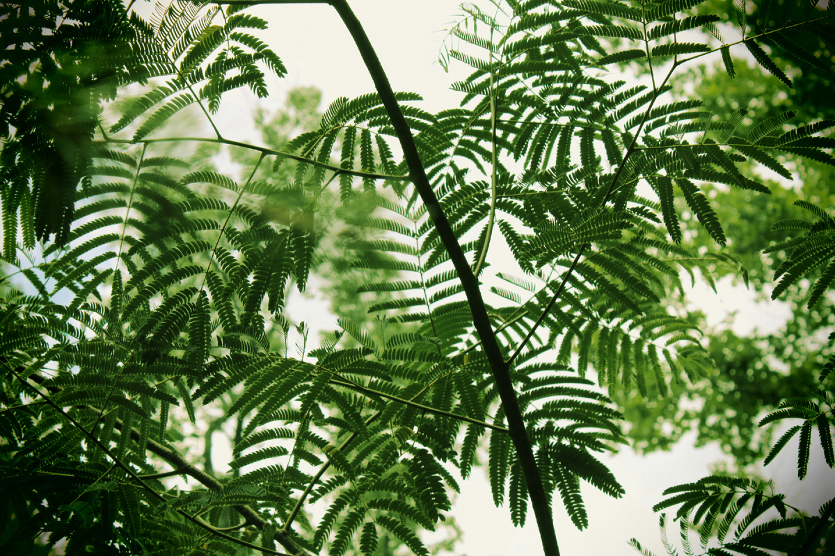 Картинка с бесплатного фотостока https://unsplash.com, автор Veronica Potter