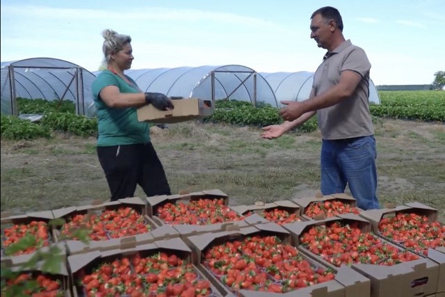   Скриншот из видео в группе Минсельхоза