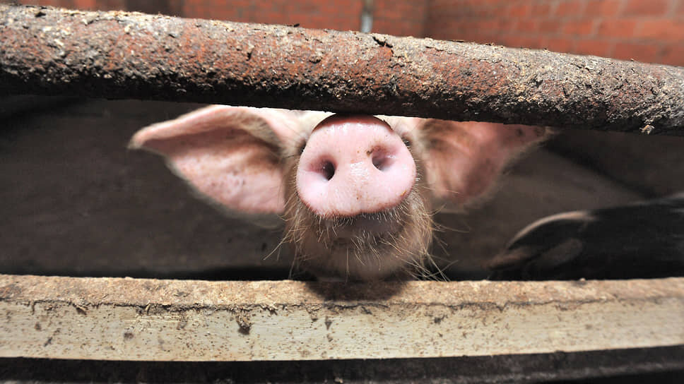 Фото: Сергей Киселев / Коммерсантъ