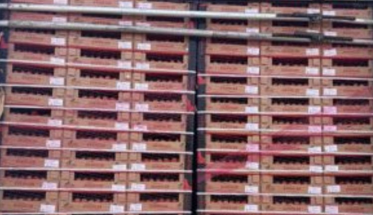    В Краснодарском крае выявили южноамериканскую томатную моль в крупной партии турецких томатов