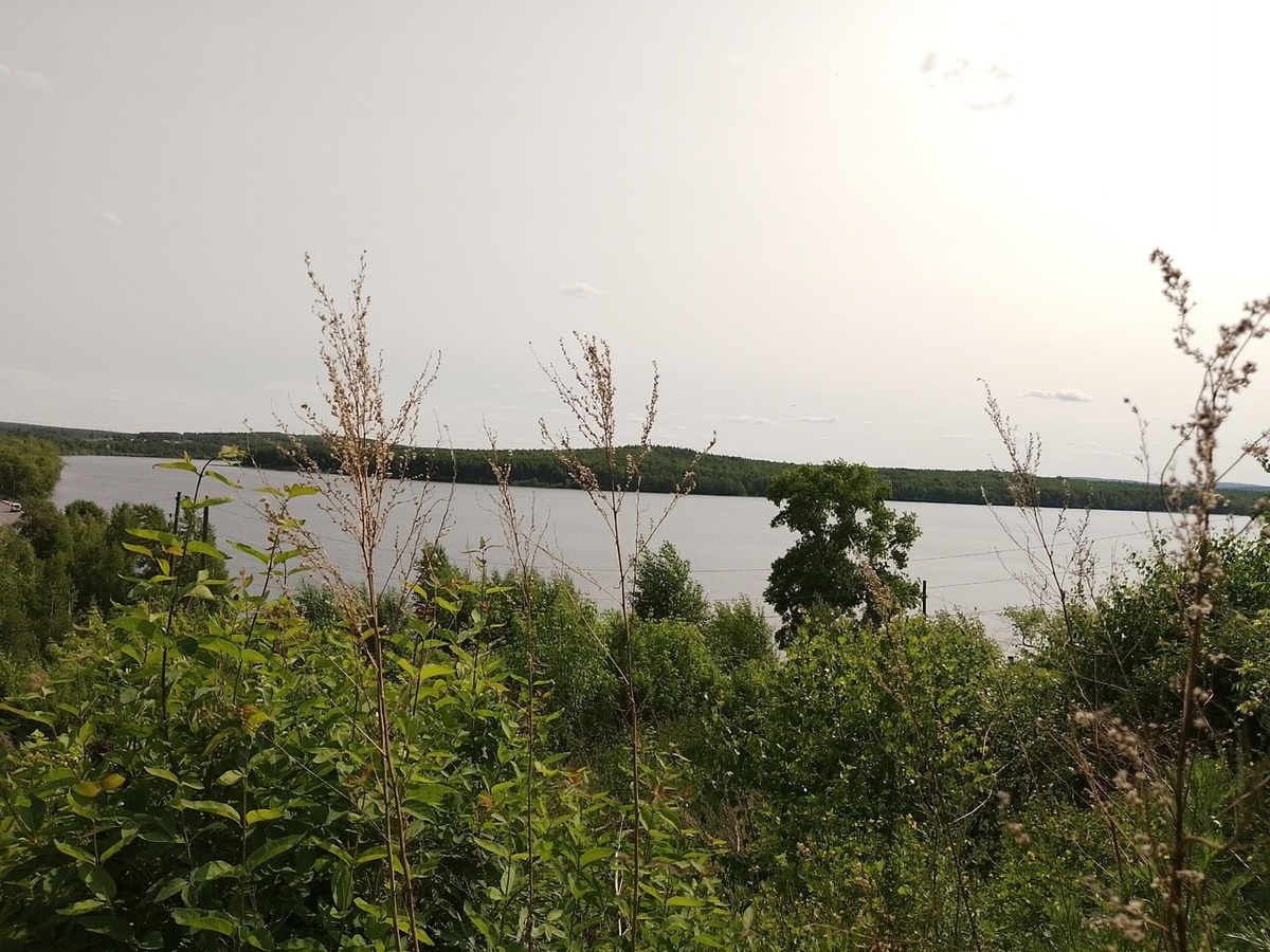 Пруд. Вид от церкви