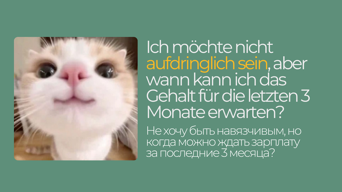 Ich möchte nicht aufdringlich sein, aber wann kann ich das Gehalt für die letzten 3 Monate erwarten?  - Не хочу быть навязчивым, но когда можно ждать зарплату за последние 3 месяца?