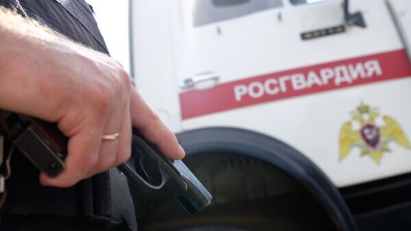    © Sputnik / Николай Хижняк