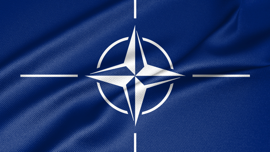    Фото: Fly Of Swallow Studio/shutterstock