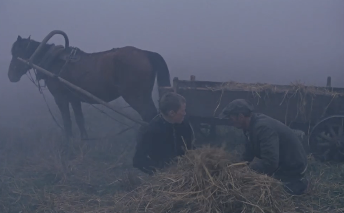 Фото: кадр из к/ф «Иди и смотри» (1985), реж. Элем Климов
