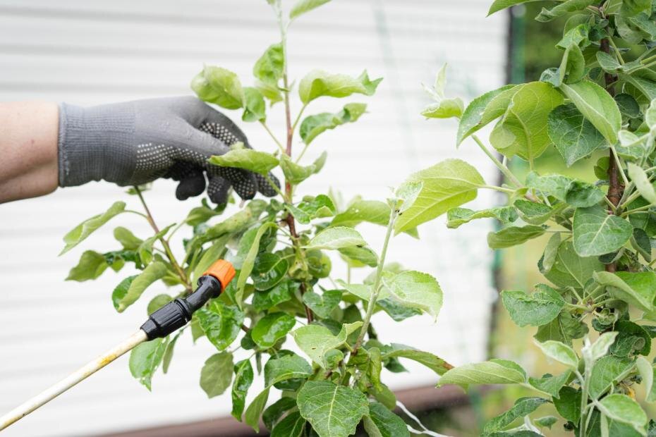    Shutterstock/FOTODOM