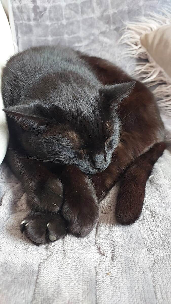 Мишаня любит поспать. 