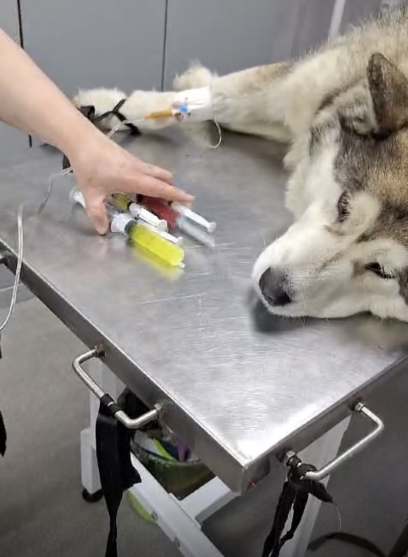 Начинаем борьбу