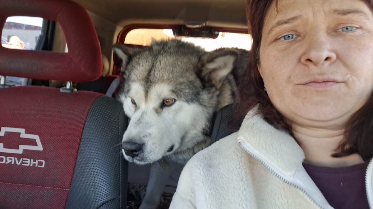 Не могла даже сесть в машине, всегда стояла на всех лапах.