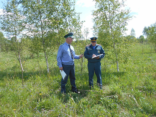 8 участков забрали у собственника в Тверской области и продадут с торгов