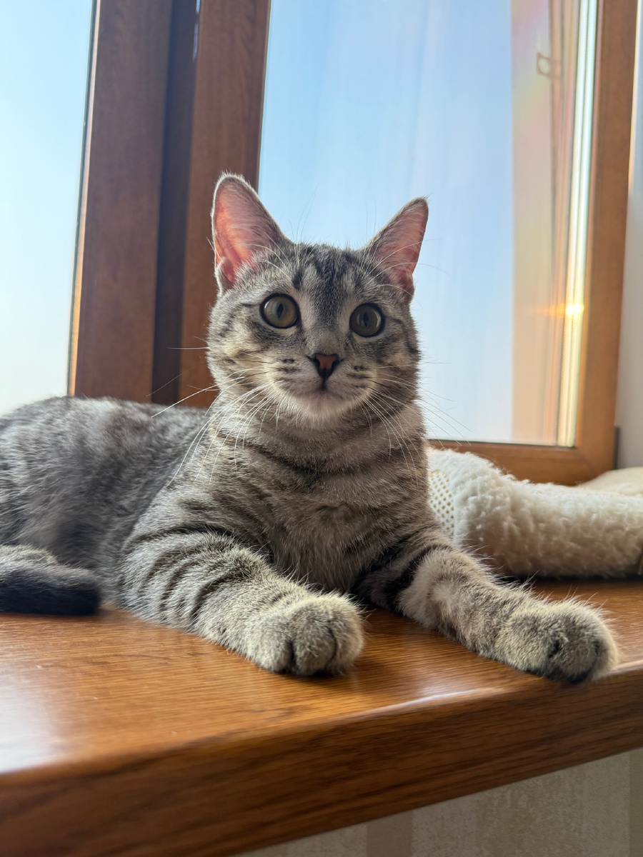 Вах, ну какой я красивый! 