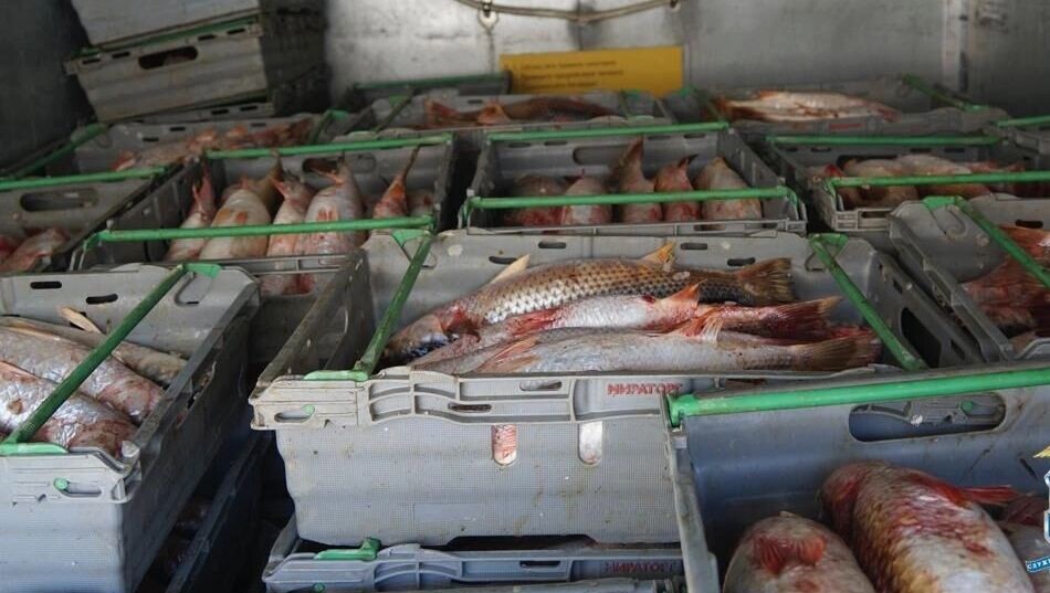     Источник: УТ МВД России по СКФО.