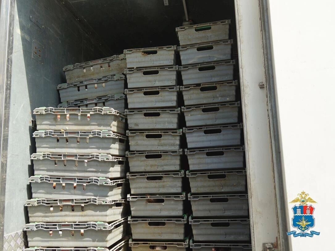     Автор: УТ МВД России по СКФО