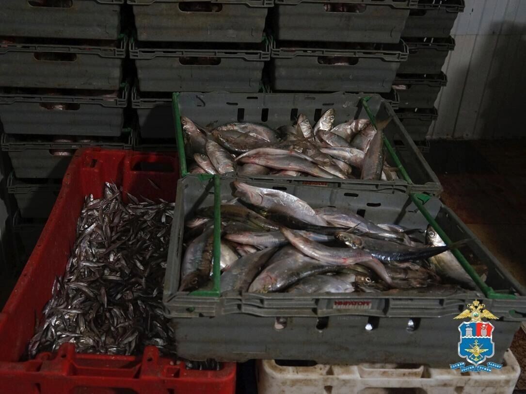     Автор: УТ МВД России по СКФО