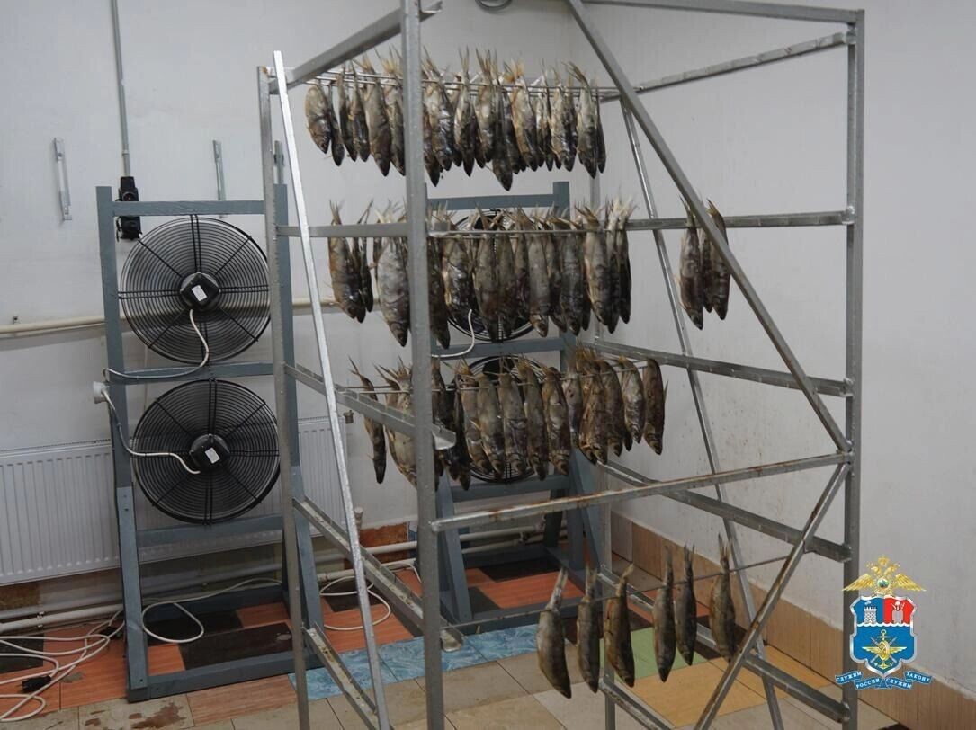     Автор: УТ МВД России по СКФО