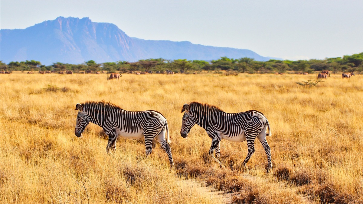 Фото: CK-TravelPhotos / Shutterstock / Fotodom