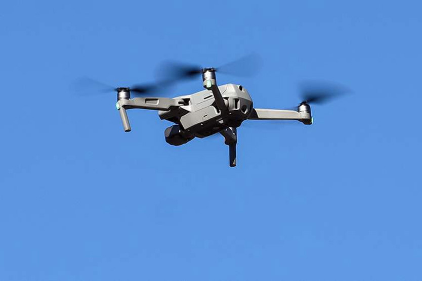 Фото: Elena Mayorova / Global Look Press