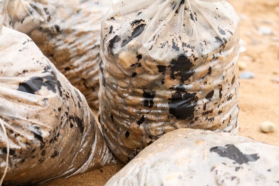     / Источник: © Сергей Мальгавко/ТАСС