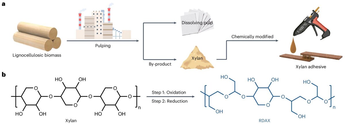  Ziwen Lv et al. / Nature Sustainability, 2025